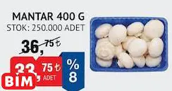 MANTAR